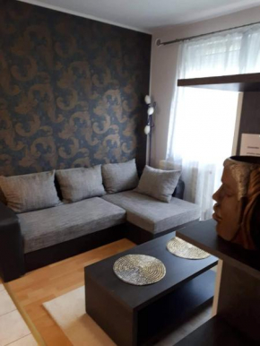 Zöld Béka Kölcsey I. Apartman